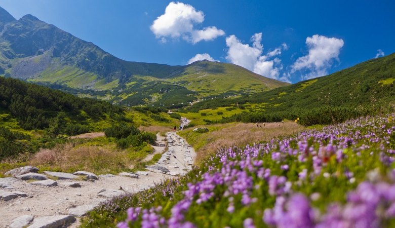 Tatra Hiking <span> with a licensed mountain guide </span> - 3 - Zakopane Tours